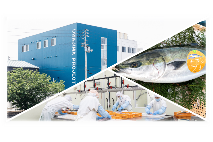 株式会社宇和島プロジェクトの写真