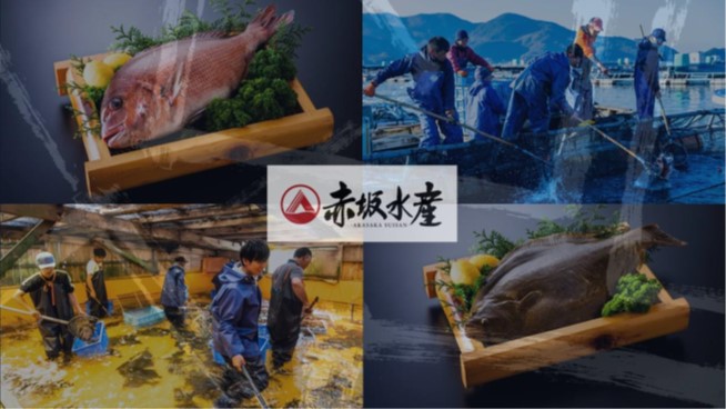 赤坂水産有限会社の写真