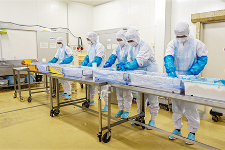 株式会社さわ工場内観