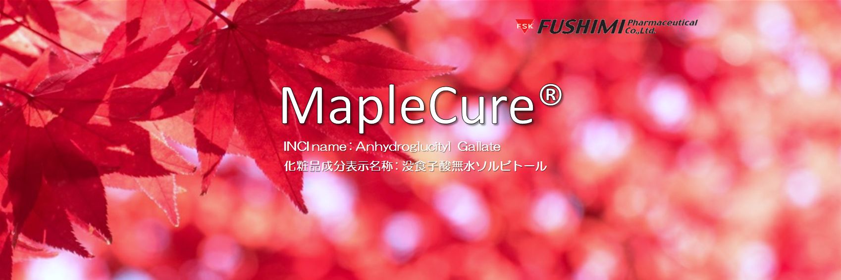 MapleCure®画像