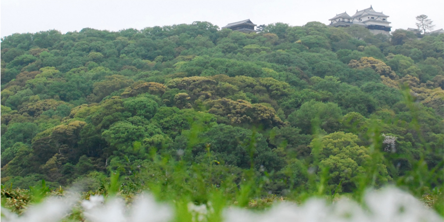 松山市の風景