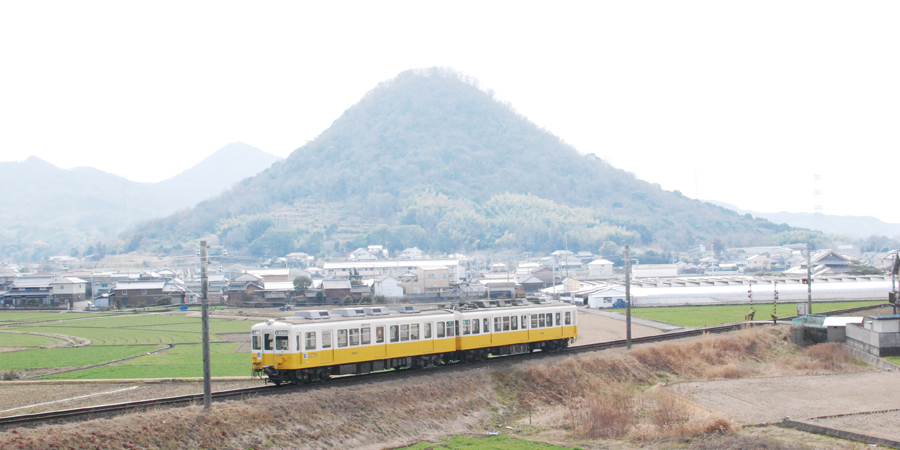 琴平電気鉄道の車両