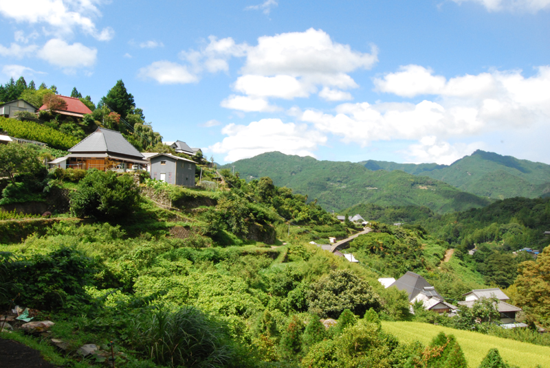 神山の風景