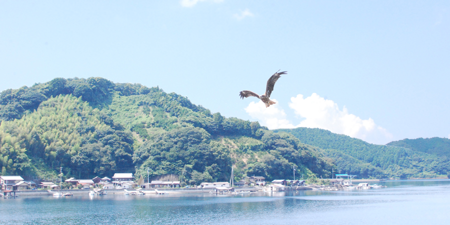 宇和島の風景