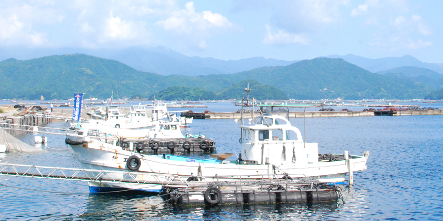 宇和島の風景