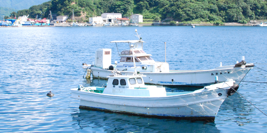 宇和島の風景