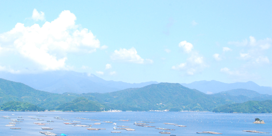 宇和島の風景
