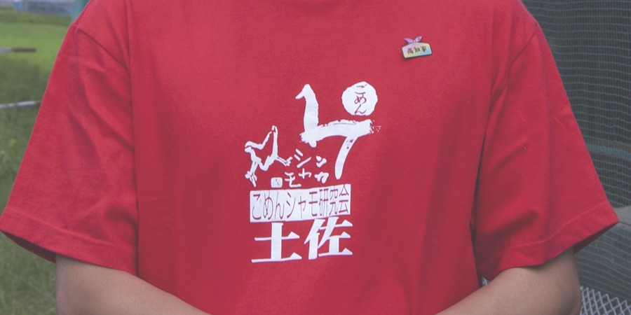 ごめんシャモ研究会のTシャツ