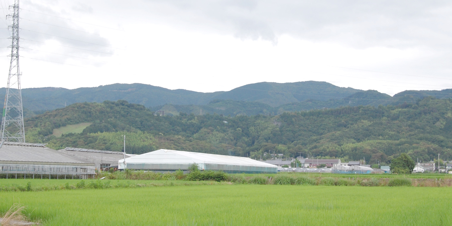 南国市の風景