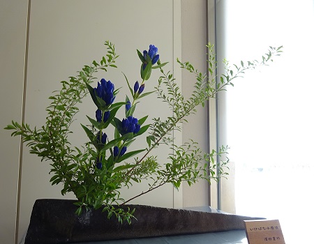 院内に飾られた花