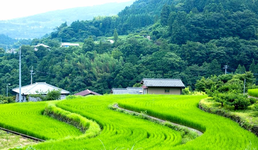 佐那河内村の風景